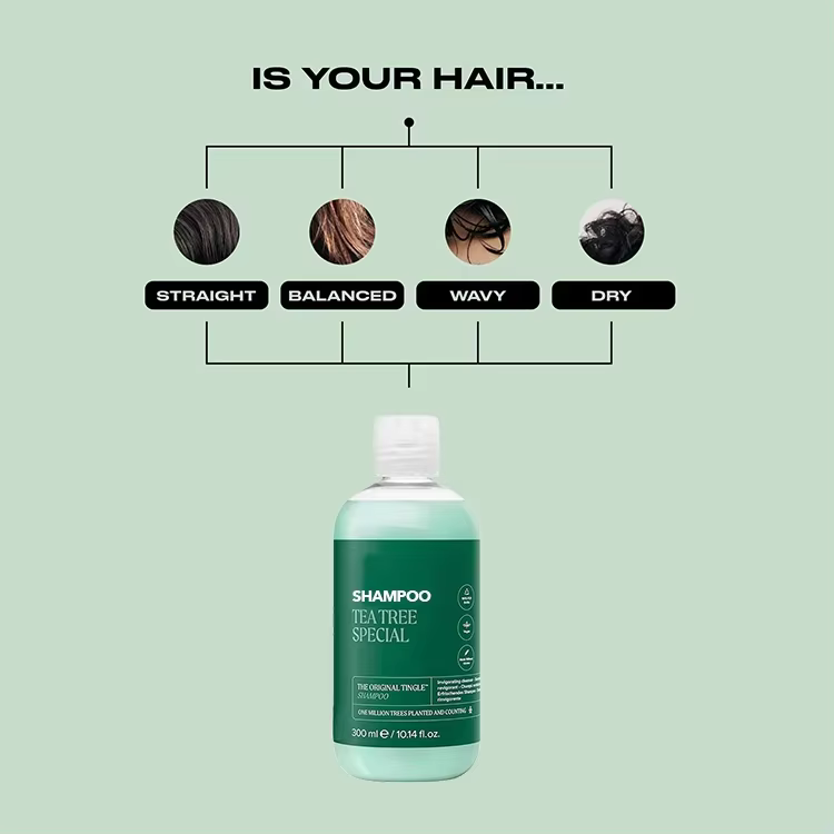 GMP Facility Private Label Tea Tree Shampoo for Men Pure Vitamin C Peppermint Lavender Oil Fights Dandruff and Dry Scalp