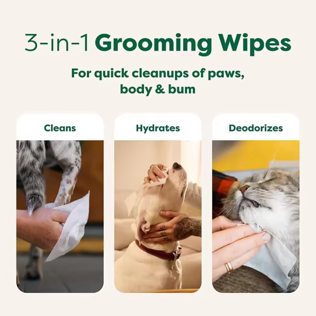 Private Label Premium Eco Organic Pet Wipes for Dogs Cats Natural Cleaning Deodorizing and Hydrating Grooming Dog Wipes