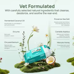 GMP Factory Hypoallergenic Cleaning Deodorizing Wipes for Dog Soothing Anal Gland Infections Thick Flushable Pet Wipes for Butt