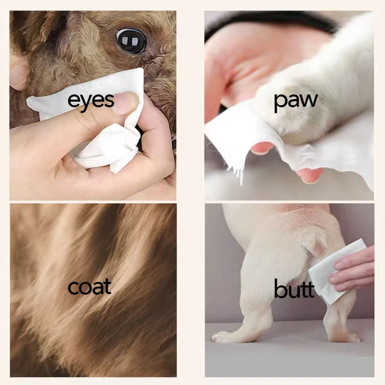 OEM Gentle Dog Paw Cleaner Wipes for Body Ears Face Coat Alcohol-free Hypoallergenic Pet Wipes Private Label