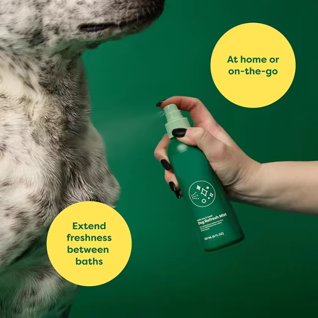 GMP Factory Custom Dog Deodorizing Spray Natural Conditioning & Odor-Eliminating Perfume Spray No Rinse Detangler Spray for Dog