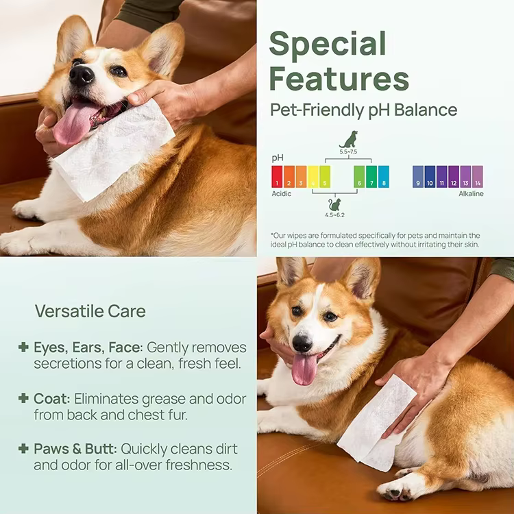 GMP Factory Hypoallergenic Cleaning Deodorizing Wipes for Dog Soothing Anal Gland Infections Thick Flushable Pet Wipes for Butt