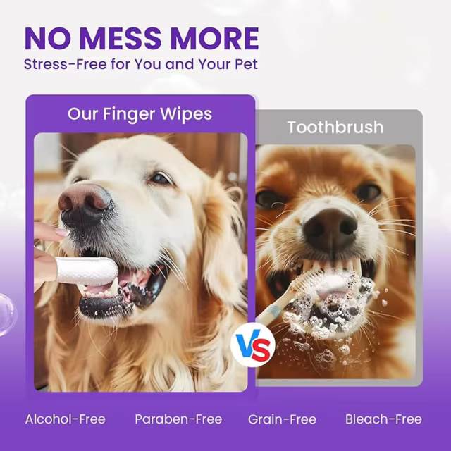 Private Label Pet Dental Finger Wipes Natural Ingredients with Enzyme to Remove Plaque Tartar Dogs Cats Teeth Cleaning Wipes