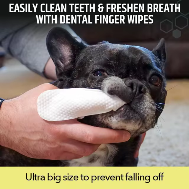 Custom Manufacturing Ultra Large Size Finger Wipes Formulated with Aloe Coconut for Dog Cats Ear Cleaning Pet Ear Care Wipes