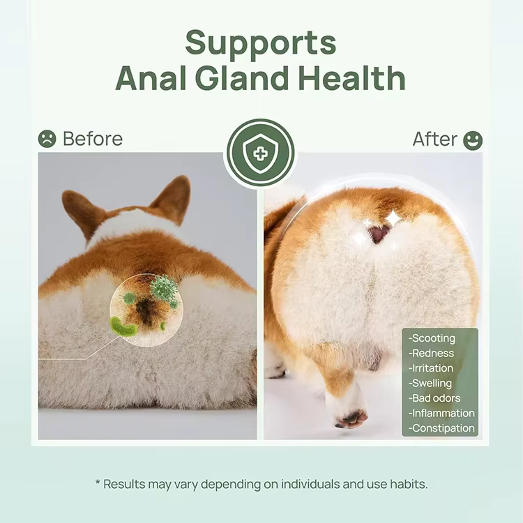 GMP Factory Hypoallergenic Cleaning Deodorizing Wipes for Dog Soothing Anal Gland Infections Thick Flushable Pet Wipes for Butt