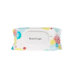 OEM Biodegradable Plant-Based Hypoallergenic Wipes 80Counts for Cleansing Hands, Faces, Hands and Tushies