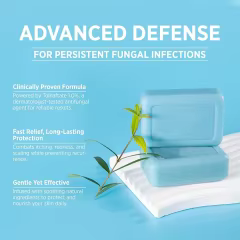 OEM Antifungal Tea Tree Soap with Aloe Coconut Oil Medicated Bar Soap Skin Fungus Treatment for Jock Itch & Ringworm