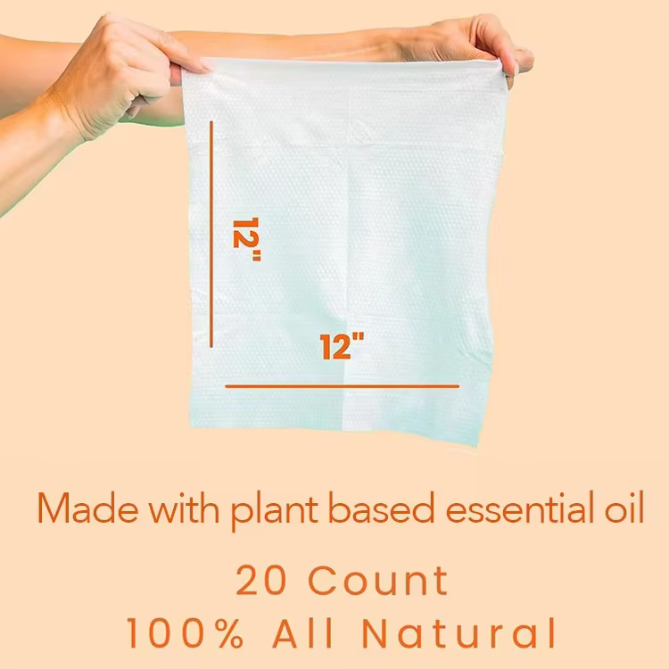 Private Label Bug Wipes Repellent 100% Biodegradable Plant Based Bamboo Mosquito Repellent Camping Bug Insect Repellent Wipes