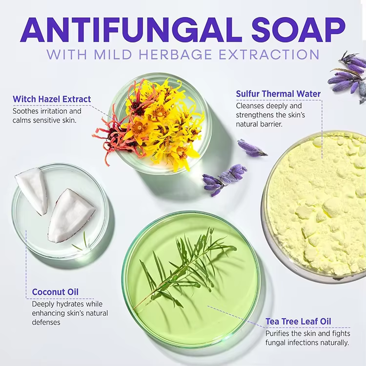 OEM Body&Face Wash Antifungal Soap Bar with Tea Tree Oil Lavender Oil Soothing Care & Relief of Itchy for Ringworm Jock Itch