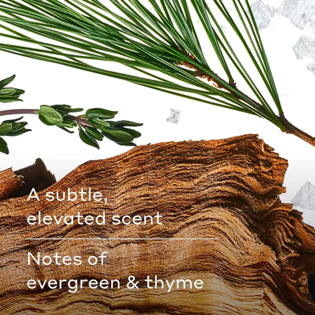 GMP FDA Approved Natural Underarm Odor Protection Deodorant Stick for Men/Women Fresh Scent Antiperspirant