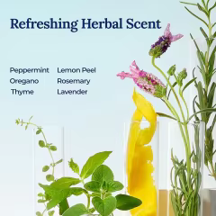 OEM Individually Wrapped Travel Cleaning Wipes All Purpose Deodorizing Freshening Cleaning Wipes with Herbal Essential Oils