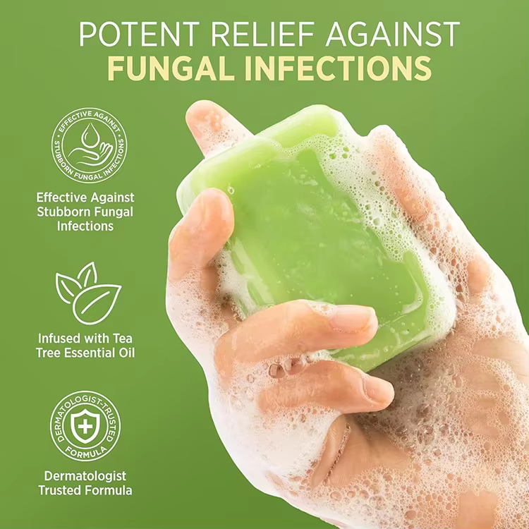 Custom Label Antifungal Tea Tree Soap Antibacterial Treatment for Face & Body Acne Herbal Soap Bar for Skin Soothing&Hydration
