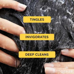Custom Logo Tea Tree Deep Cleansing Shampoo Refreshing Scalp Ideal for Oily Hair All Hair Types