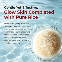 Custom Logo 2.7oz Black Rice Exfoliating Ampoule AHA BHA Niacinamide Pore Brightening Serum