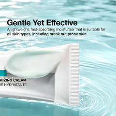 Custom Logo Hyaluronic Acid 100 Moisturizing Cream, Lightweight Non-Greasy Facial Moisturizer with Salmon DNA for Glass Skin