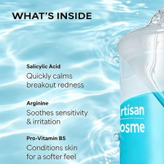 Custom Logo Salicylic Acid Pore Normalizing Facial Cleanser, Fragrance-Free Daily Acne Face Wash for Clogged Pores, Blackheads & Redness