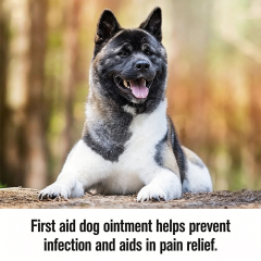 Custom Logo 2‑Ounce 3‑Way Dog Wound Care Ointment, Pain Relief & Infection Prevention for Dog Cuts, Scrapes, Bites and Injuries