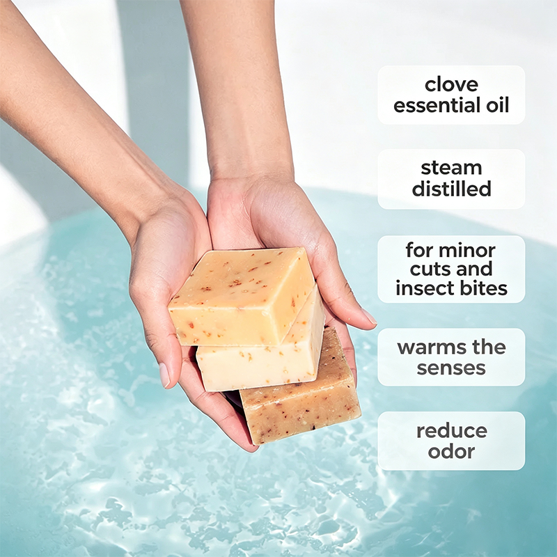 Custom Logo Natural Clove Soap, Deep Cleansing & Refreshing Bar Soap for Face and Body
