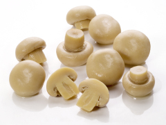 Canned Mushrooms