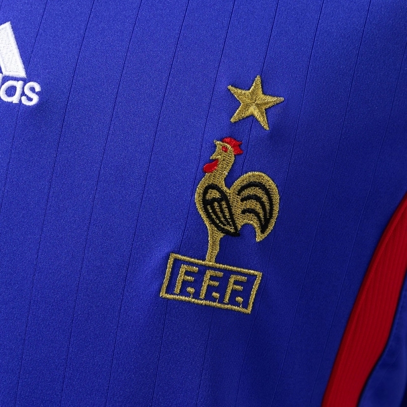2006 FRANCE HOME