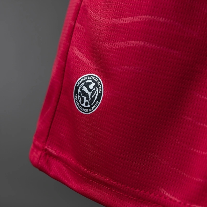 2026 PORTUGAL HOME WORLD CUP LONG SLEEVE (FAN VERSION)