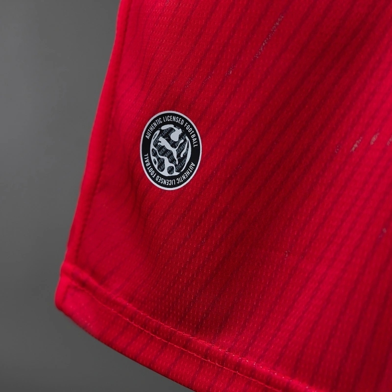 2026 SWITZERLAND WORLD CUP HOME（FAN VERSION）