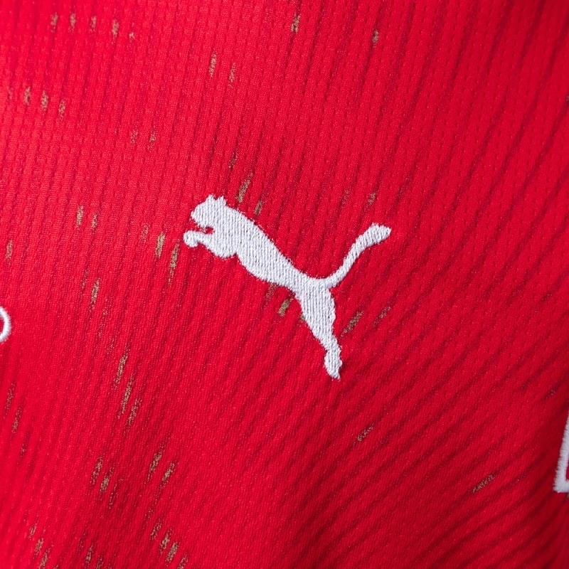 2026 SWITZERLAND WORLD CUP HOME MEN AND KIDS KIT
