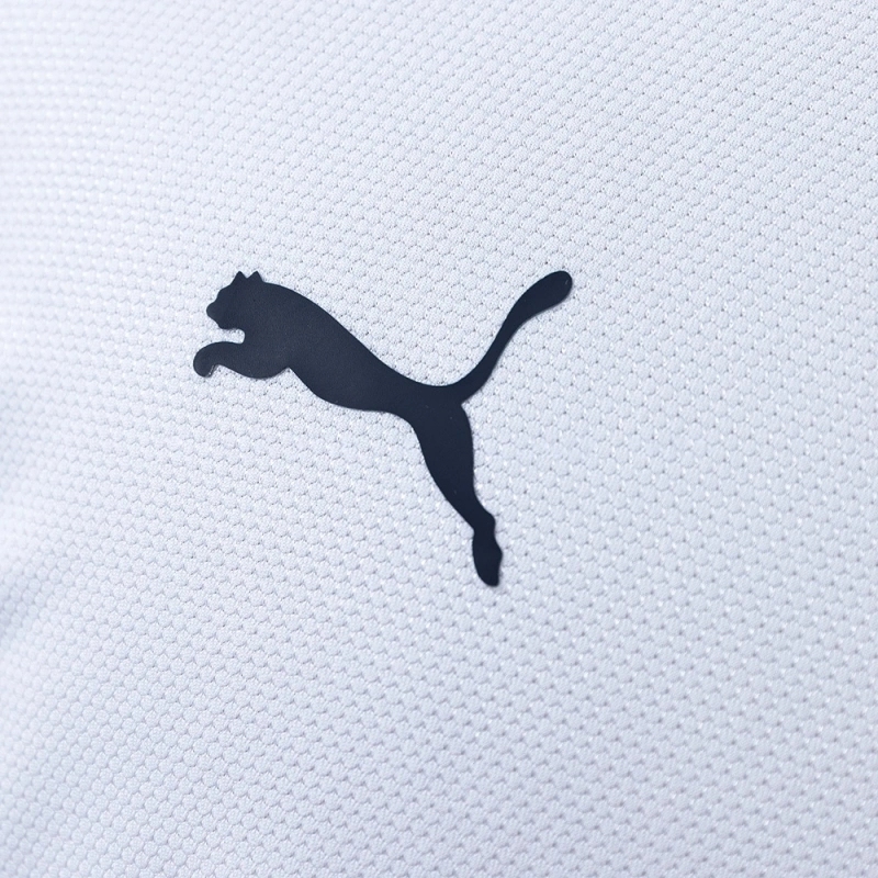 2006-07 TOTTENHAM HOTSPUR HOME
