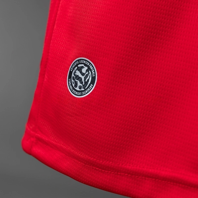 2026 AUSTRIA WORLD CUP HOME (FAN VERSION)