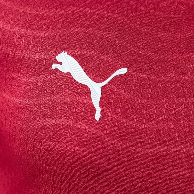 2026 PORTUGAL WORLD CUP HOME LONG-SLEEVE (PLAYER VERSION)