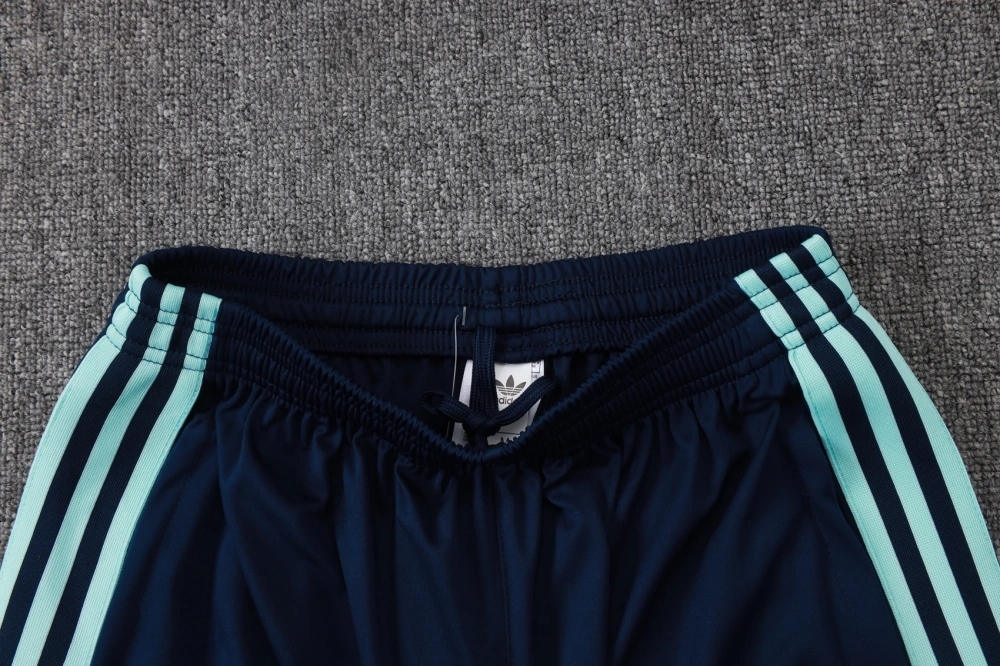 2026/27 GERMANY TRACKSUITS TRAINING SUIT LIGHT GREEN