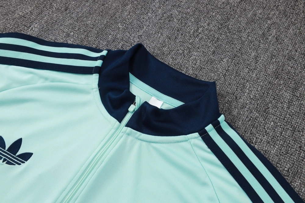 2026/27 GERMANY TRACKSUITS TRAINING SUIT LIGHT GREEN