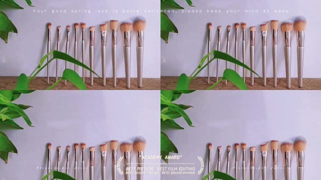 10-piece and 14-piece champagne gold makeup brush set, including blush, eyeshadow, eyebrow brushes, contour brushes, and powder brushes. In stock.