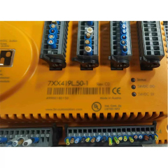 B&R 7XX419L.50-1 PLC Module