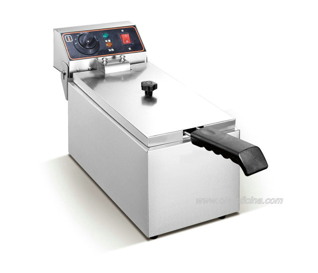 WF Electric Fryer
