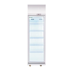 LG UPRIGHT FRIDGE