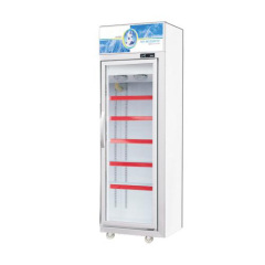 LG Upright Freezer