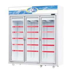 LG Upright Freezer