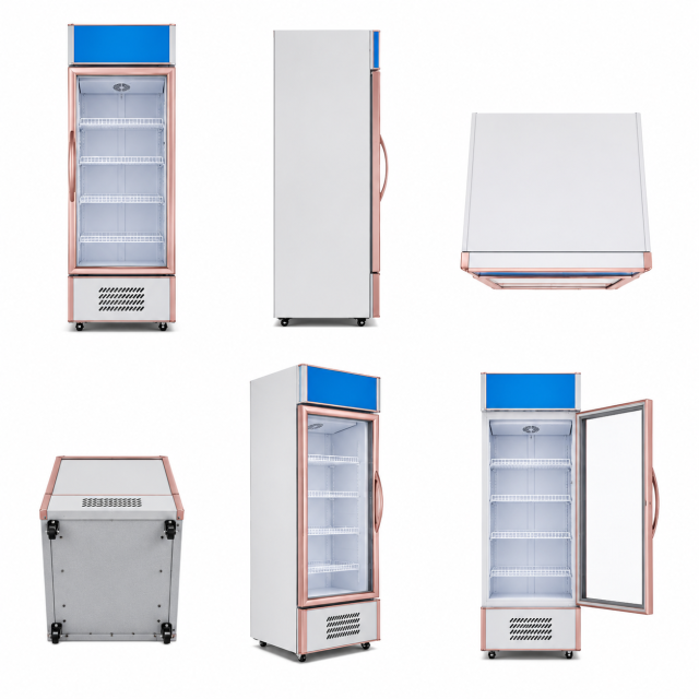 Luxury Upright Beverage Display Cooler | Glass Door Refrigerator