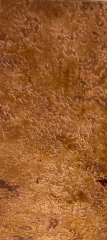 PM-4845