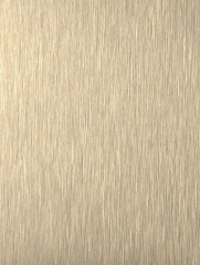 Satin-finish yellow titanium goldwith a matte texture