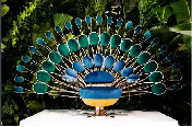 Large Peacock Chair