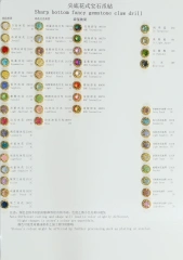 Color  Card 6