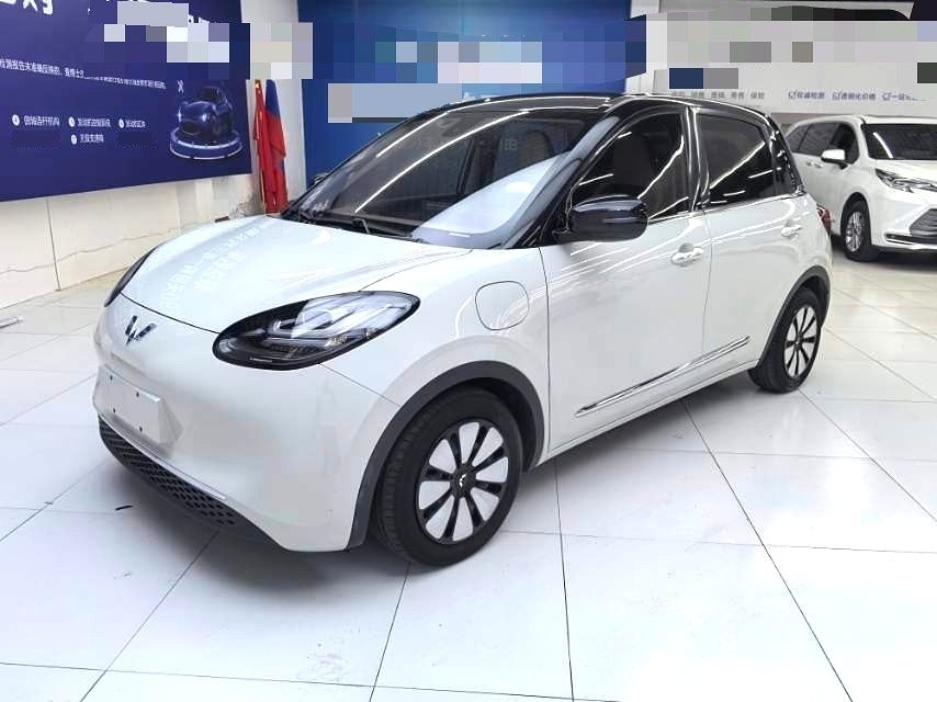 Wuling Bingo
