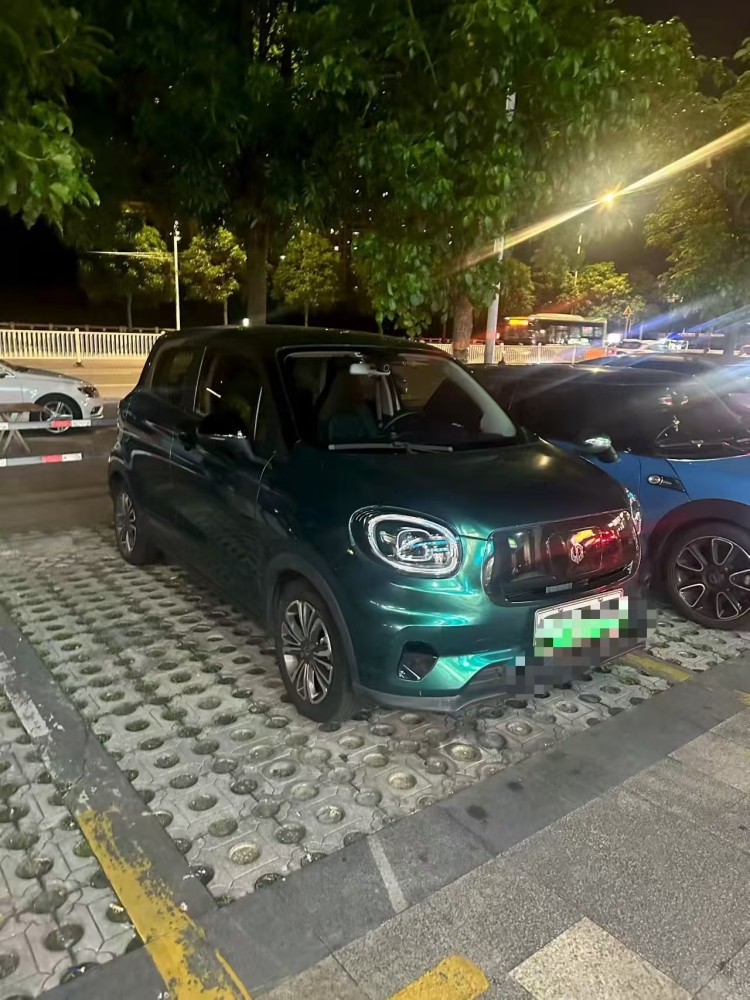 Leapmotor T03 403km Range Edition