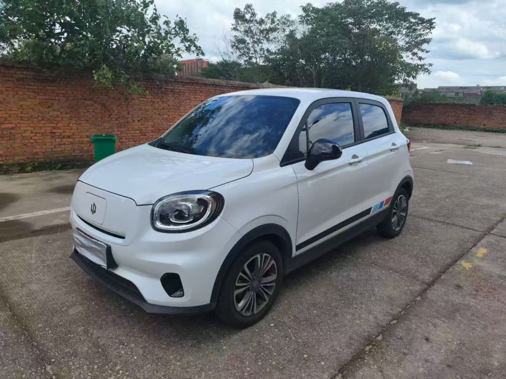 Leapmotor T03 310km Range