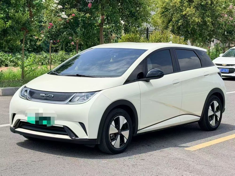 BYD Dolphin 420km Range