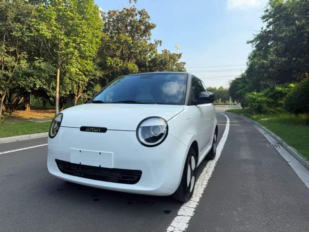 Changan Lumin