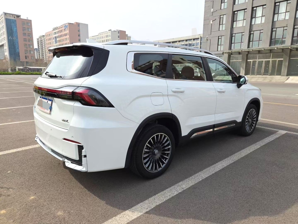 Haoyue L