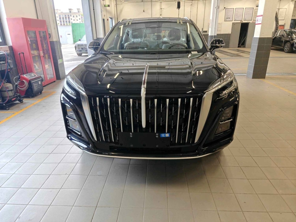 Hongqi HS3